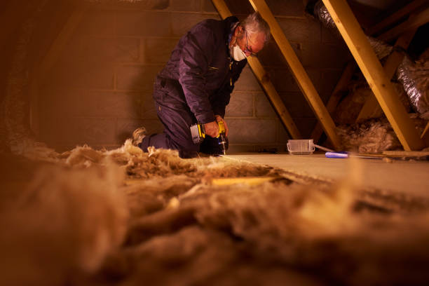 Best Insulation Installation Services in Smyrna, TN